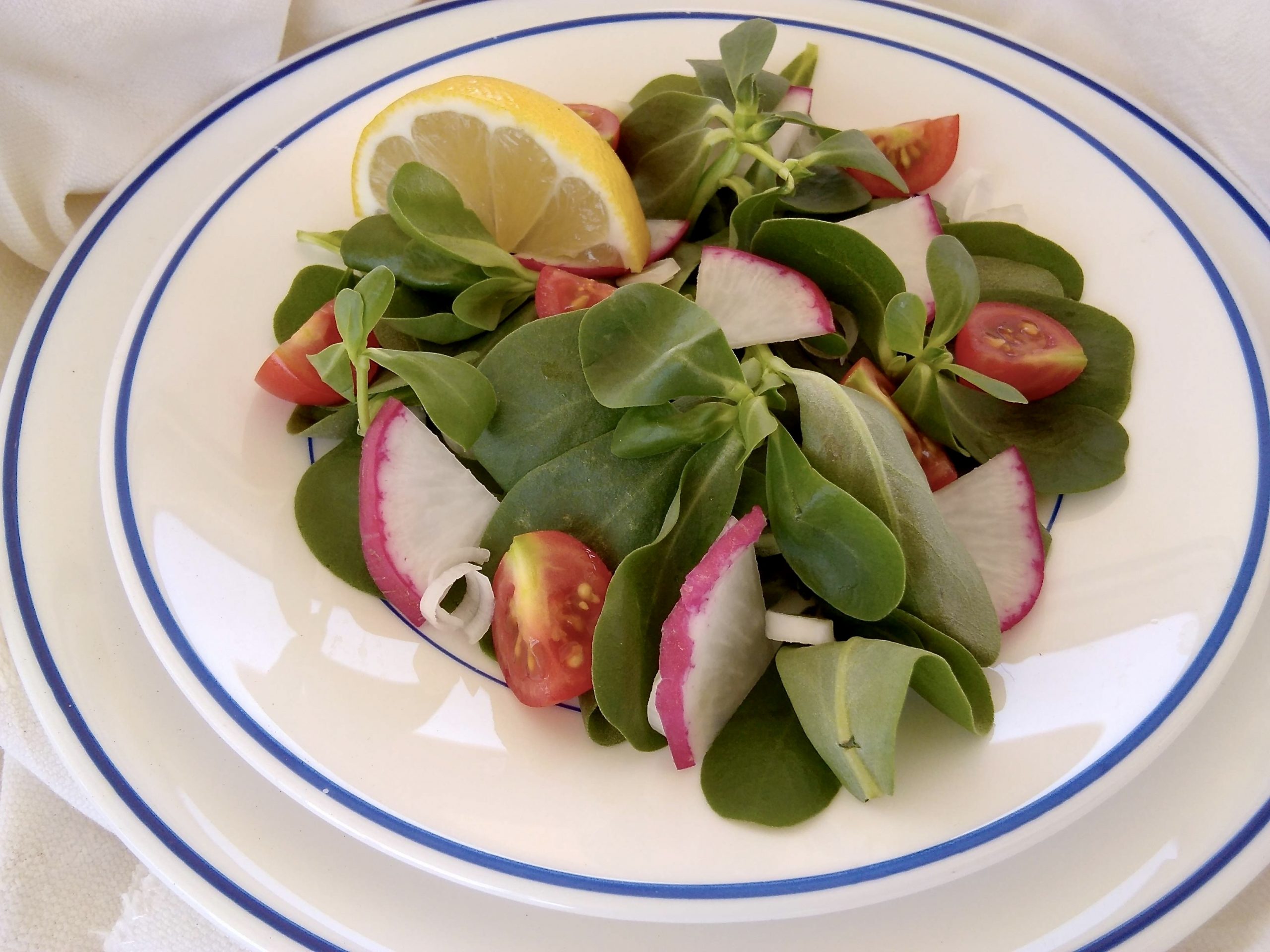 Portulak Salat mit Radieschen – Cherrys Blog